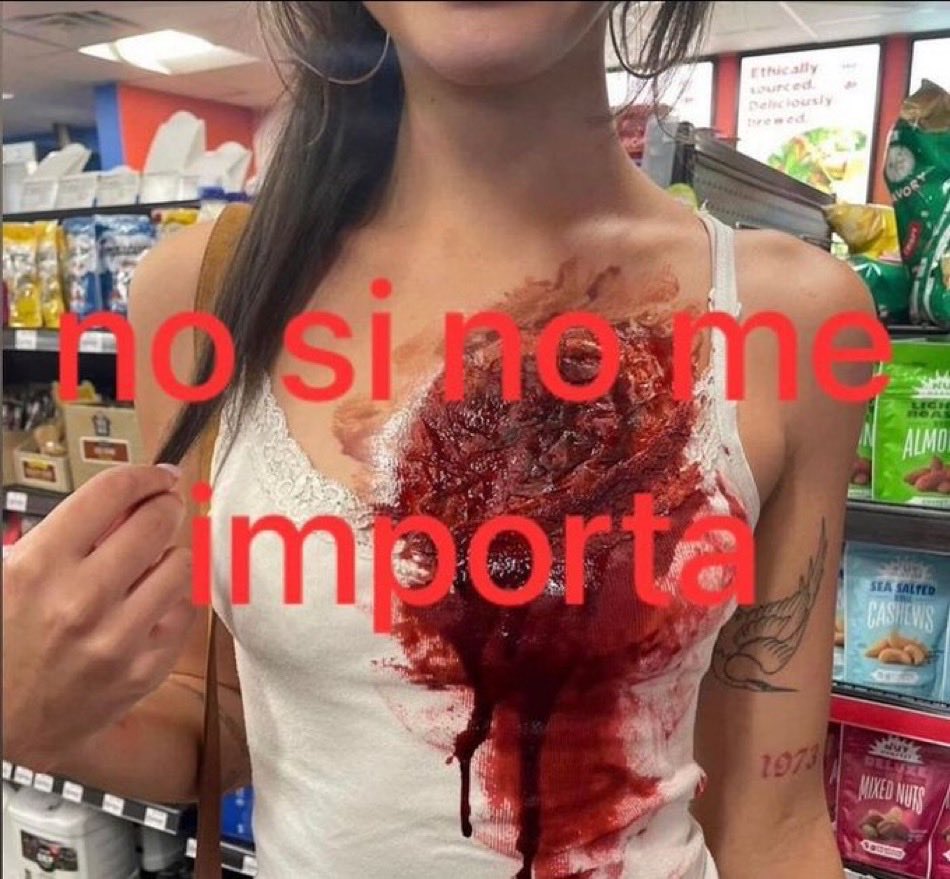 taybrinawhore's tweet photo. a veces estoy feliz y a veces me acuerdo q se murió gaspi, perdimos el mundial y tenemos a javier milei de presidente DEJÁ https://t.co/OG7jv79NV5