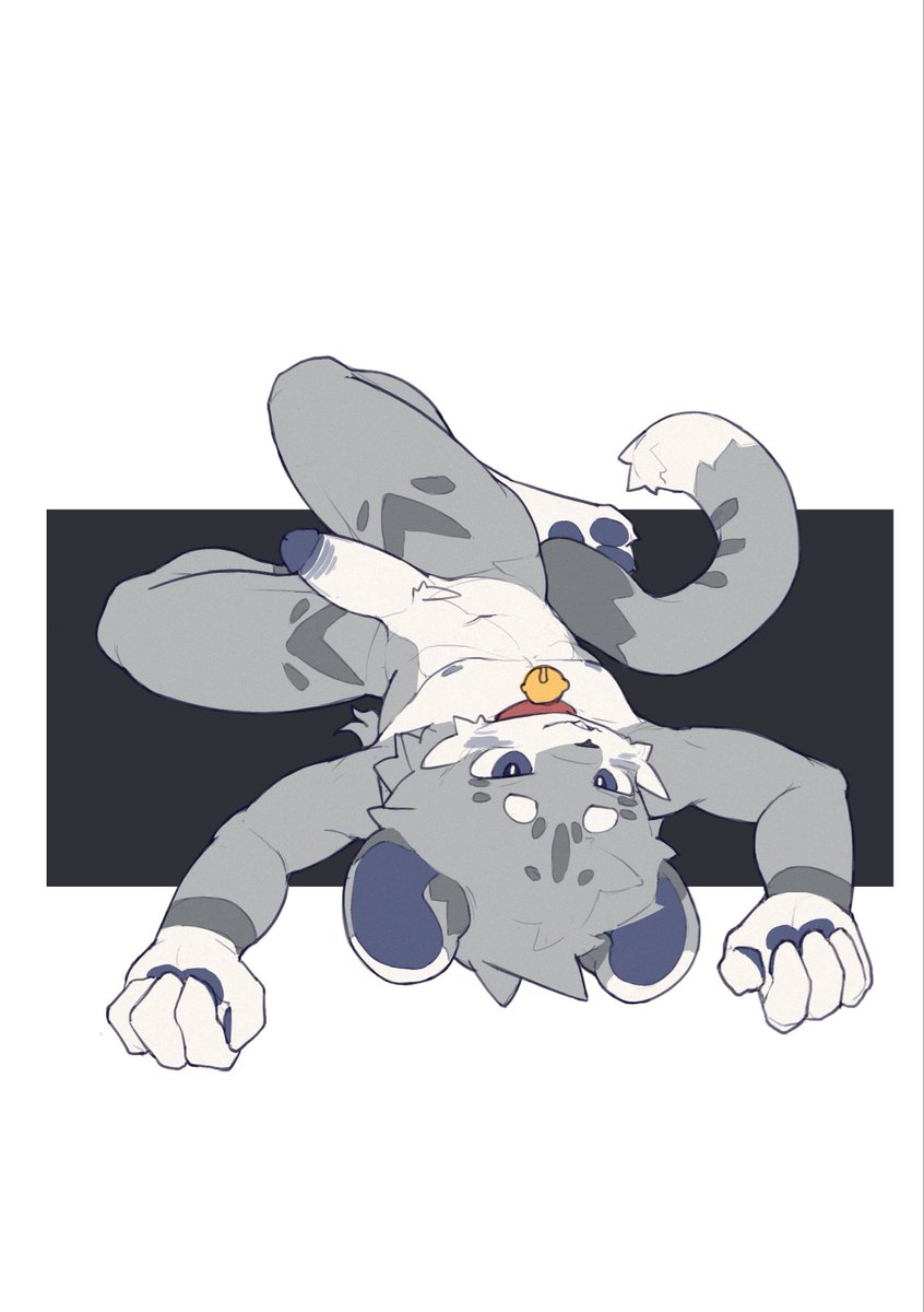 Xiaol708's tweet photo. #furry https://t.co/LlpISokYae