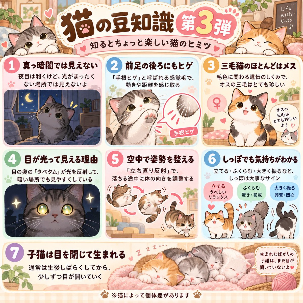 Ichinocq9u's tweet photo. おはようございます☀
月曜日の朝から大寝坊をかましてしまいました。
今朝は猫の豆知識第三弾！
#猫　#cat #猫の豆知識 https://t.co/KuPYZF2gPn