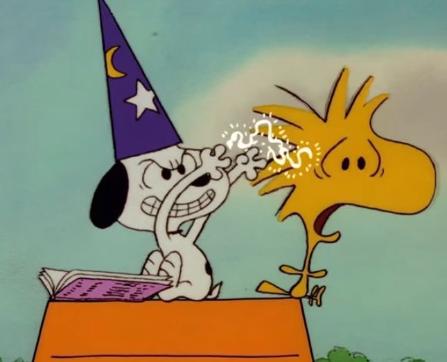 DailySnoopys's tweet photo. https://t.co/p7Dqn5cUp0
