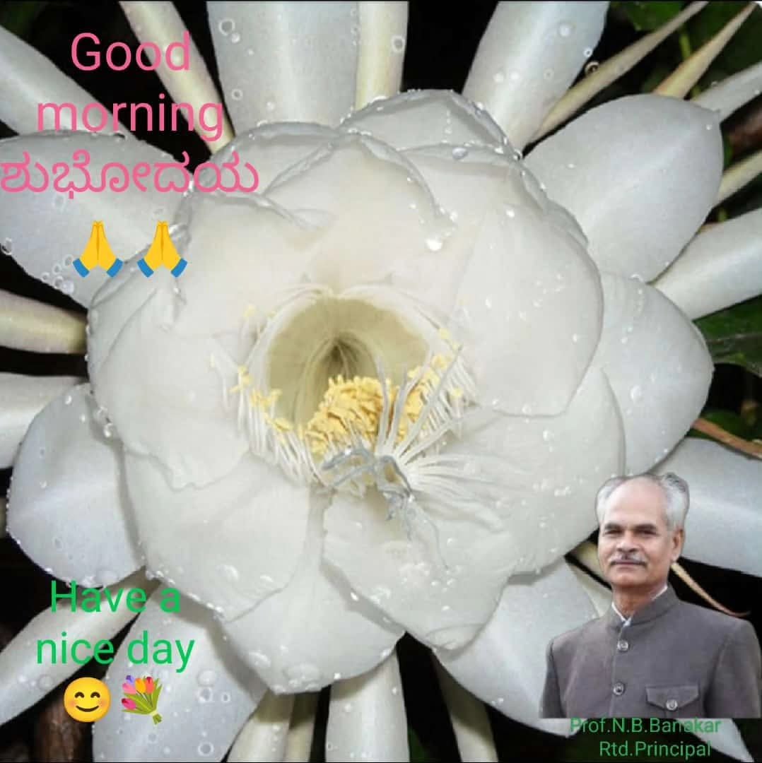 BanakarNagappa's tweet photo. https://t.co/bSQvic0iXI