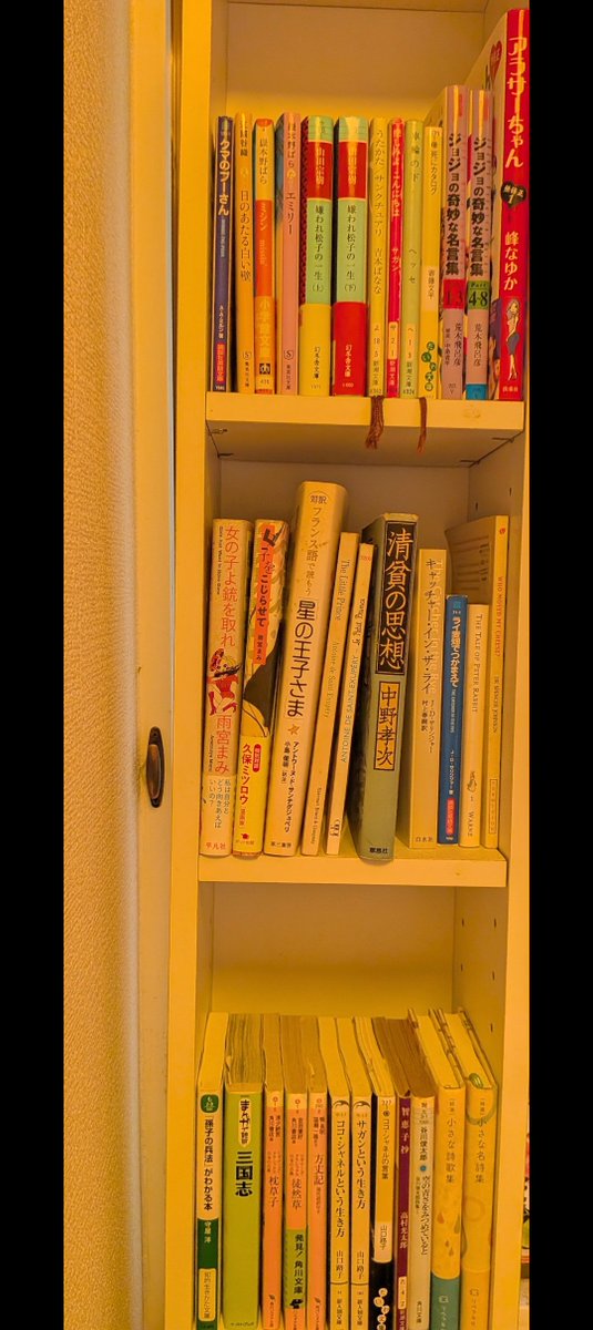 aoi_lemon22's tweet photo. 私の本棚です。あらかたBOOKOFFしちゃったけど、大事な本はここに残してる。物増えるの嫌で、最近はもっぱら電子書籍📲
でもここ最近、本全然読んでない📖 https://t.co/OLPmyc6NWd