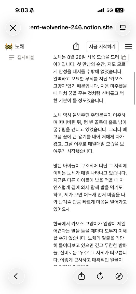 doldol1km's tweet photo. 이거바 친구드라
록시랑 노체!
애정깍깍 담긴 글귀도
너무 사랑스럽고예븐 록시노체도 같이바주라
보광냥이들을 구조할 수 있는 시간이
오늘까지 딱 3일밖에 안남았는데
누군가 묘연을 느낄수있도록 짝은 관심을 노나주면 정말 고마울거야..이 쪼꼬만 털친구들의 세상을 구해줄 집사님을 찾습니다요... https://t.co/NgrjA5xUmQ