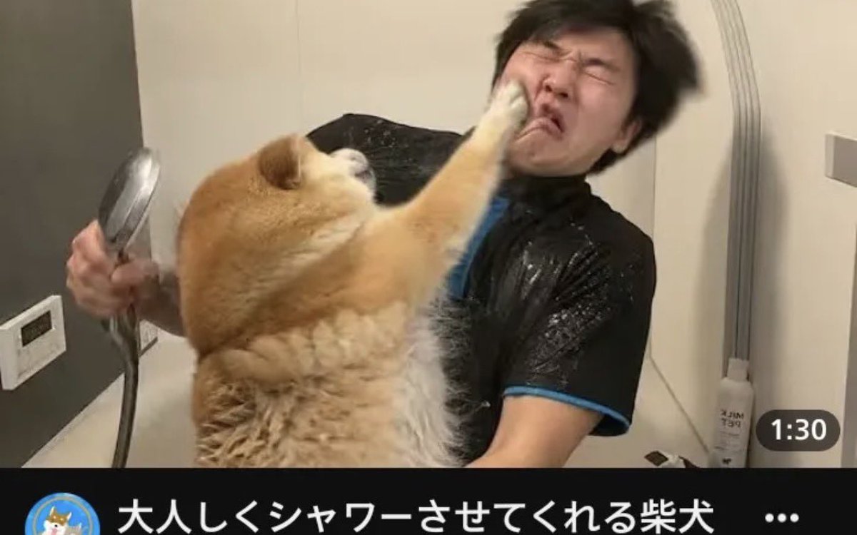 tamika47488's tweet photo. YouTubeのこのサムネ最高すぎるやろ https://t.co/VJksyU6Vux