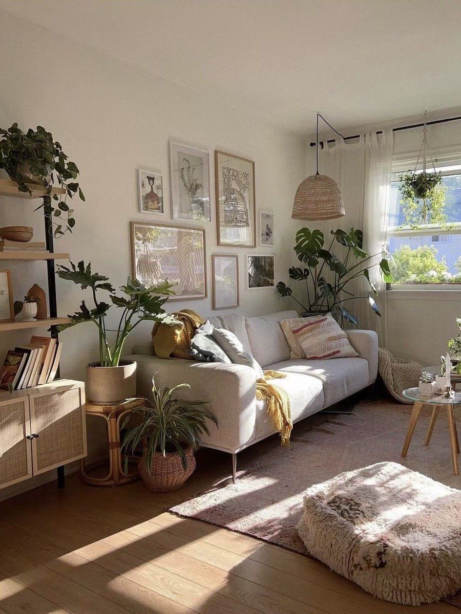 NevilleOchsner's tweet photo. New to photography Start with mastering natural light—soft window light beats harsh flash for warm, flattering shots every time! https://t.co/tuj4Tuv317