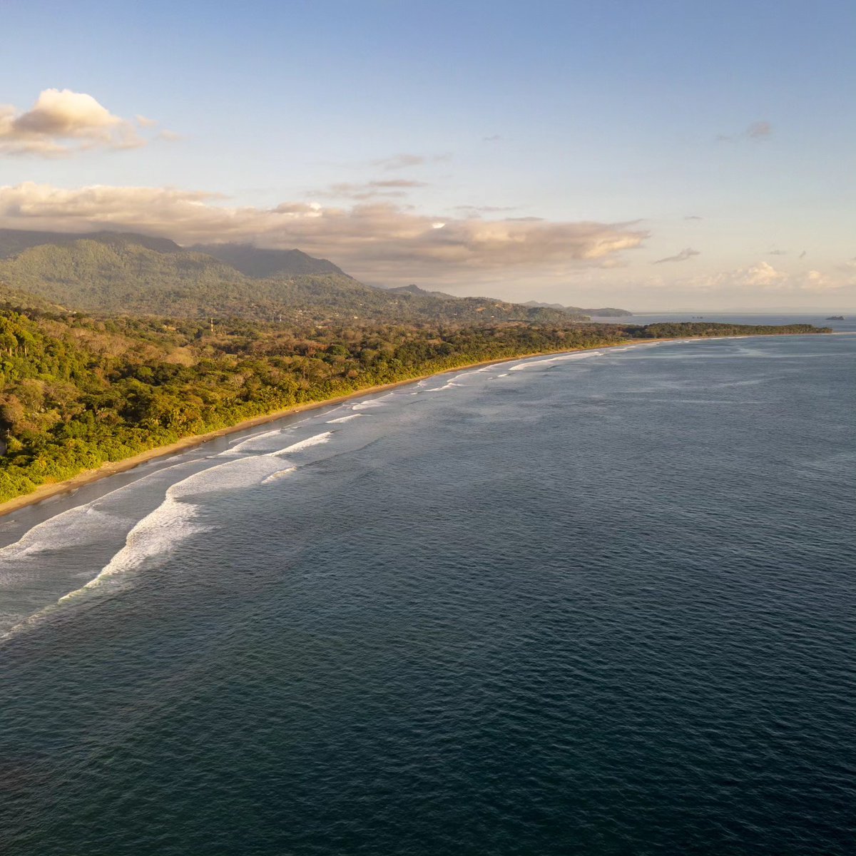 AndreMainardes's tweet photo. Costa Rica with @pd_bau....... #tr1p0t #instatravel #travel #discoverearth #wekeepmoments #fantasticearth #wanderlust #beautifulearth #adventure #traveling #landscape #summer #holidays #explore #costarica #nature #ocean #waves #costaricapuravida https://t.co/gxEBBHdtDe
