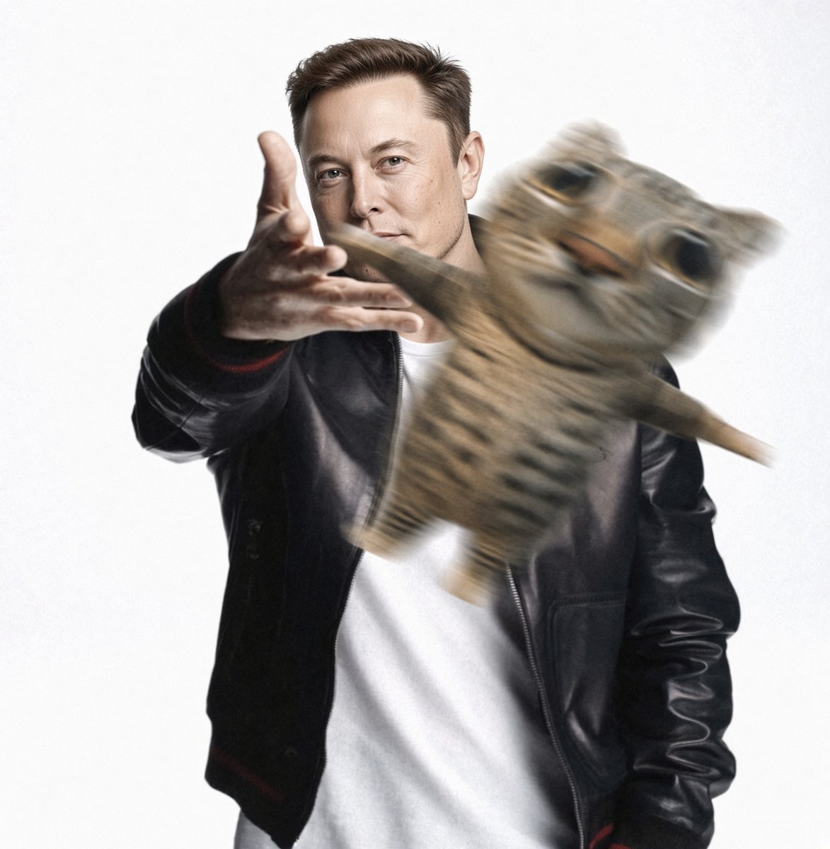 Lorenzo_Sol_'s tweet photo. @elonmusk gr8 advice https://t.co/DuFPlgypIP