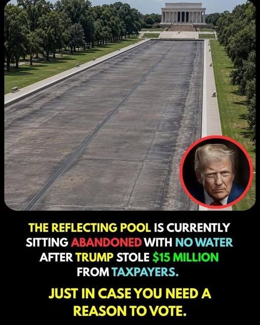 ALANFAN44's tweet photo. He just gave up on it, and the media is not covering it anymore.  This infuriates me. CNN and MSNOW should get their butts over here and do live broadcasts showing this ruined national treasure.  Same with the Kennedy Center, and the disaster that is the “ballroom”. https://t.co/HU0OFe7fkc