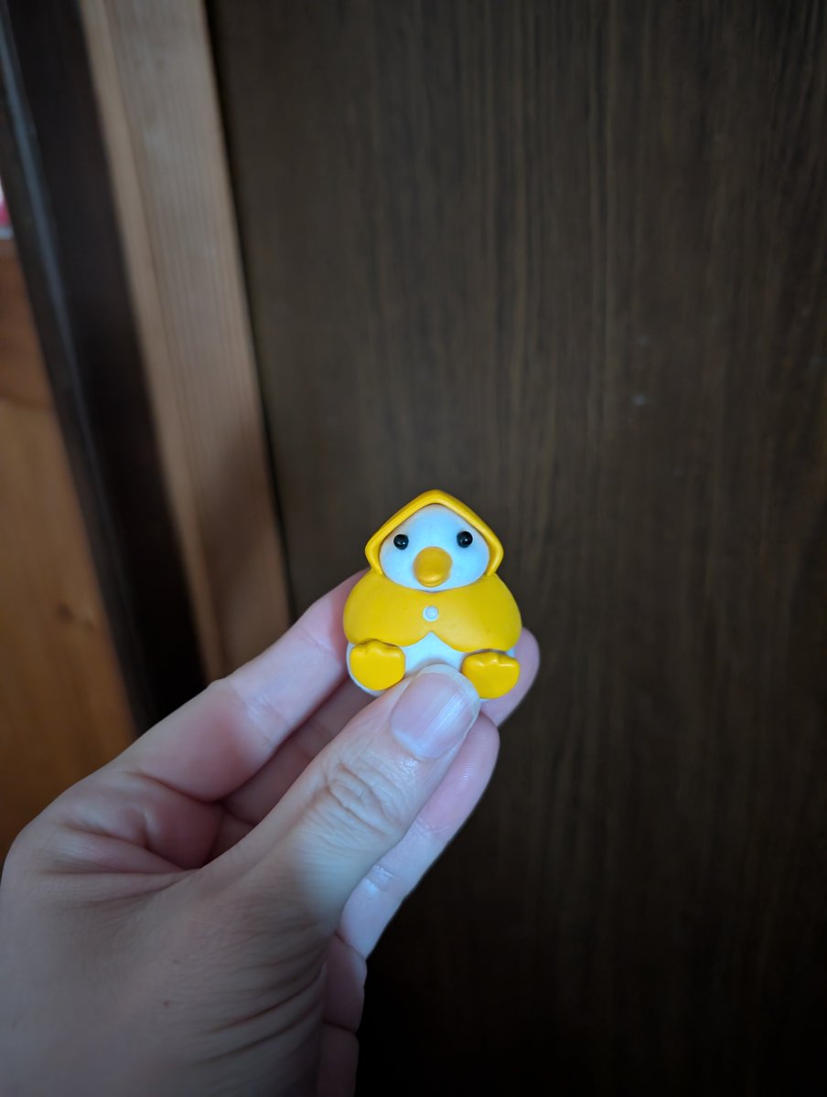 Hisuiren1146's tweet photo. 先日回したガチャガチャのアヒル��ん(⁠*⁠´⁠艸`*⁠) https://t.co/SzADb5jg3n