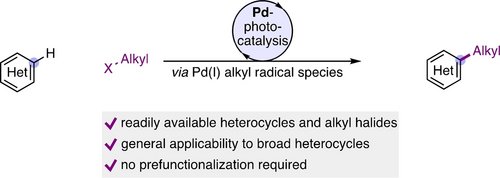Hanzala45641763's tweet photo. A fascinating approach to direct C–H alkylation of heterocycles using visible light and Pd catalysis. Simple alkyl halides generate alkyl radicals that enable C–H functionalization without prefunctionalization. 

#chemistry #CHfn
#synthesis #research #share #angewchem #metalcata https://t.co/VdrpDWUBy9