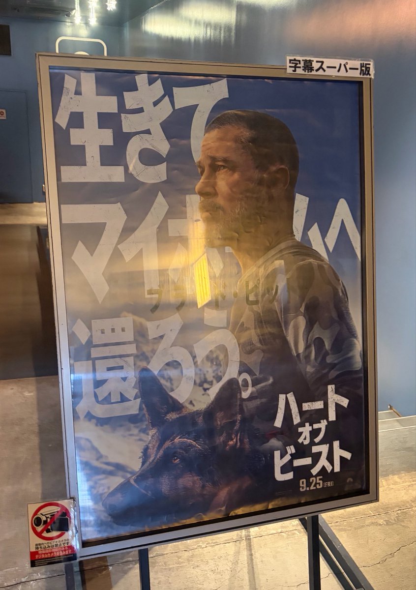 mayoneedko's tweet photo. #ハートオブビースト 
退役軍人と退役軍用犬の物語。犬の瞳と大自然の美しさ、その一方で戦争の惨さ、人間の身勝手さを同時に知る。
登場人物（犬）もすくなくて、説明っぽいセリフもなくて、犬の眼差しが全てを語ってるようで。
素晴らしかった！ https://t.co/7GGVQeld39