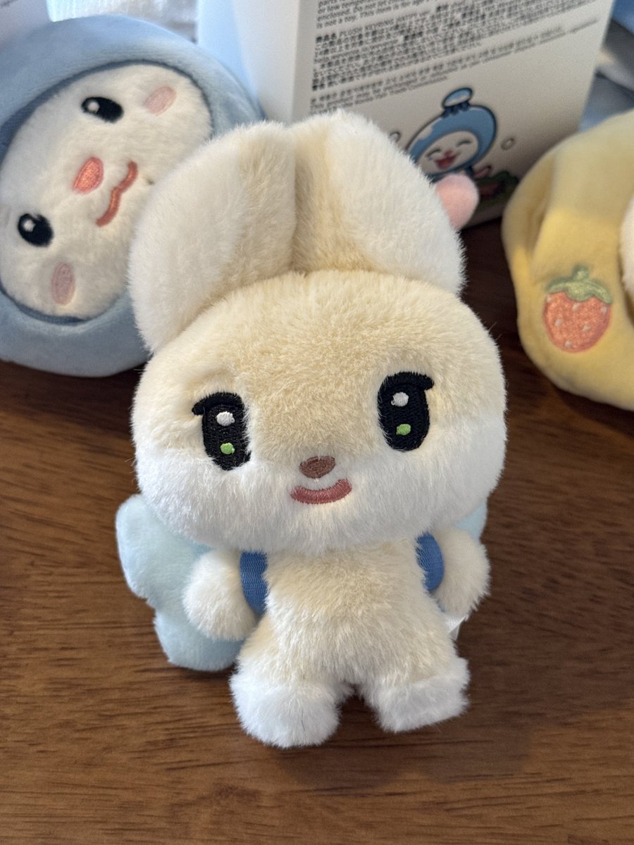 soiisstar's tweet photo. 한빗이 졸커둥이라 비가시회 해제하고 사랑해주기로 함 https://t.co/boluHInrBf