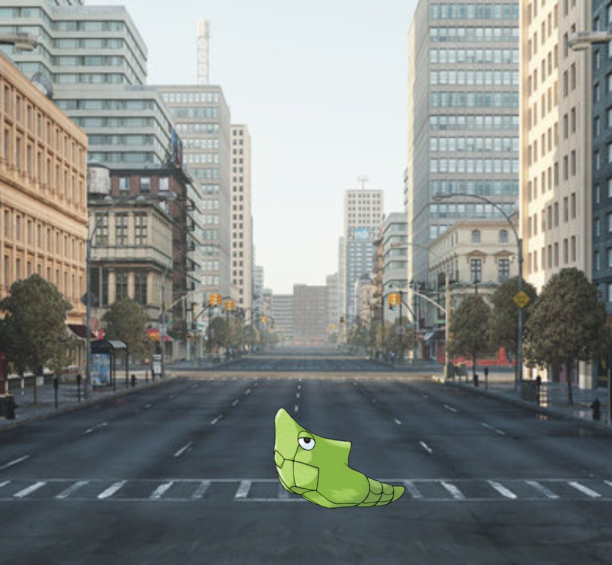 PerfectMetapod's tweet photo. *you arrive into the city it seems...quiet...very quiet for a city this size... you look at the only thing that appears there, it's a metapod a, regular sized, regular looking, regular metapod.... He's just...there?*

(Approach?  Y/N)

//Open interaction https://t.co/u63OtX9Cwv
