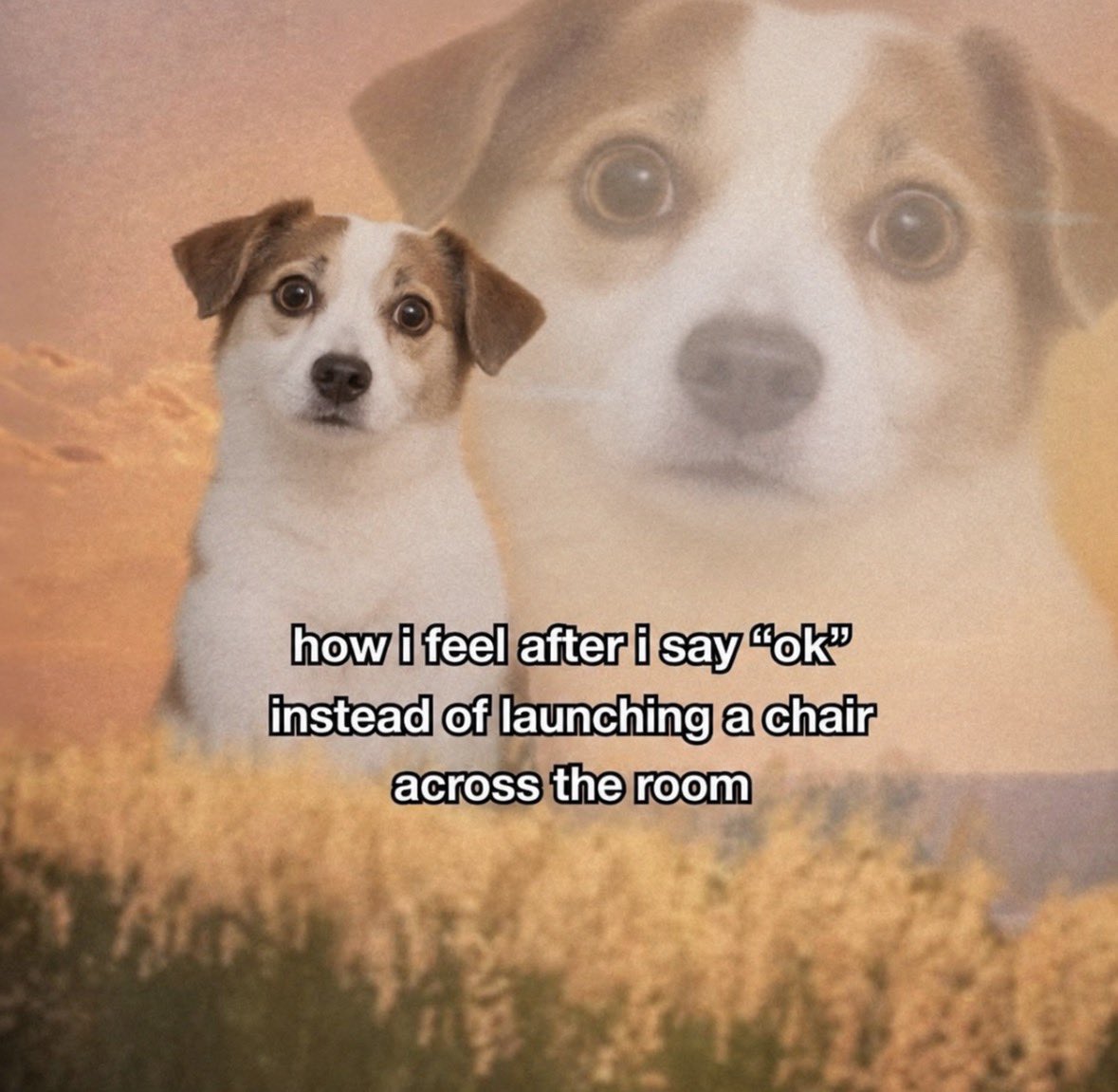 RespectfulMemes's tweet photo. https://t.co/BZe2pbQ0NW