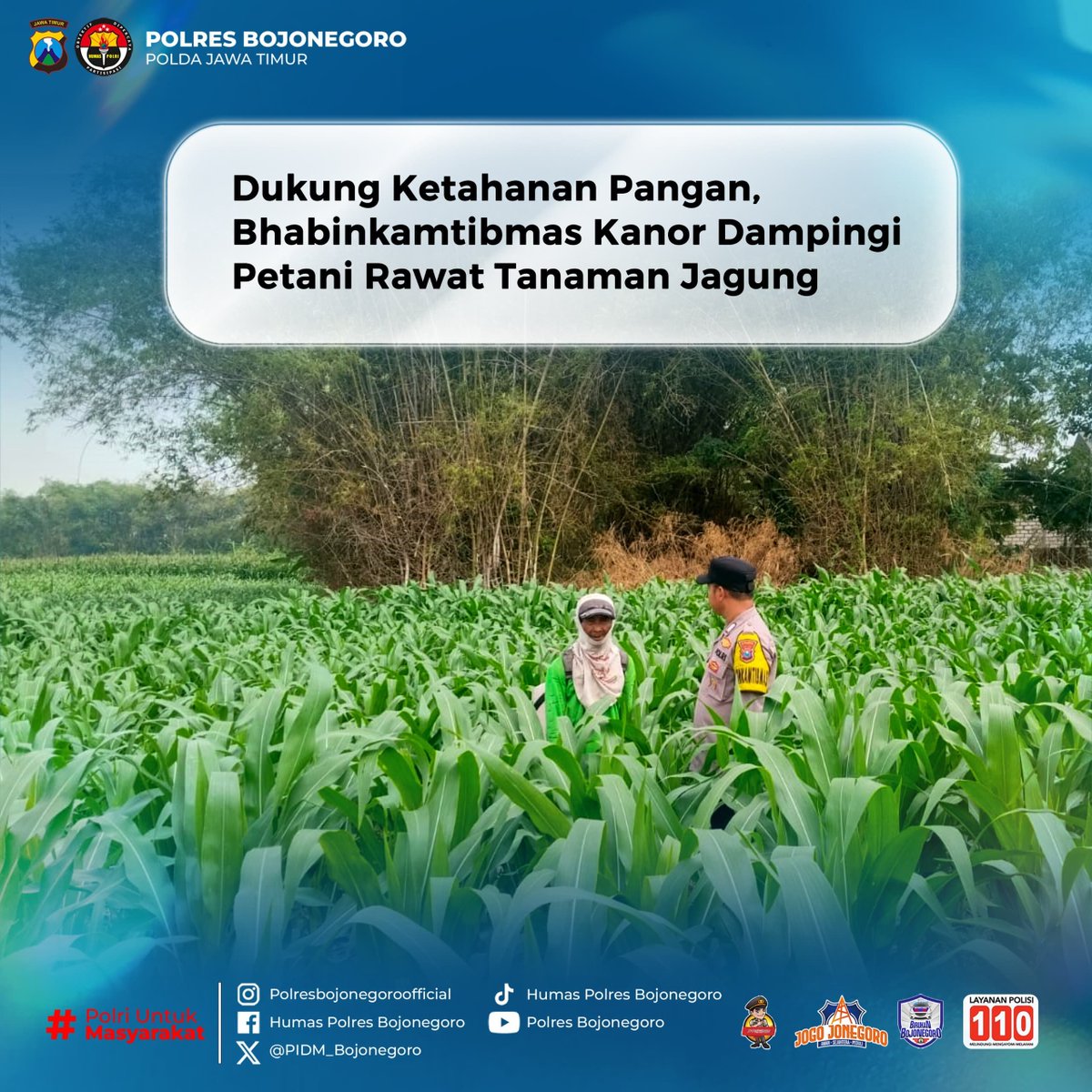 EkoDedyZld's tweet photo. Dalam mendukung program ketahanan pangan nasional, Bhabinkamtibmas Kanor Polsek Kanor hadir langsung di tengah para petani untuk memberikan pendampingan dalam perawatan tanaman jagung. 

Kehadiran Polri di tengah masyarakat bukan sekadar menjalankan tugas pemeliharaan kamtibmas https://t.co/mqFyz1kkA9