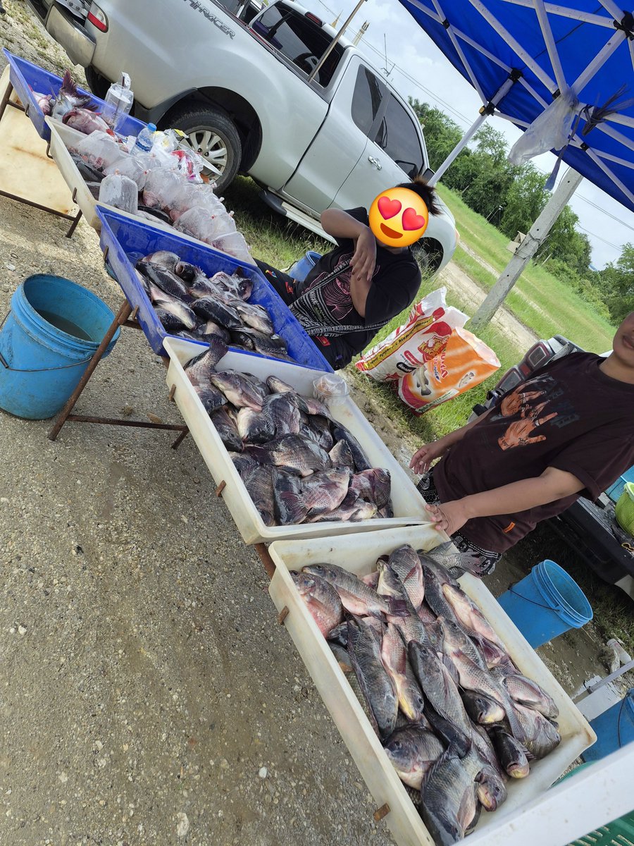 SeptemberSbqtrk's tweet photo. ตลาดวันจันทร์มีของขายนะคะวันนี้คะ
#พนัสนิคม https://t.co/i5w7mFfJUW
