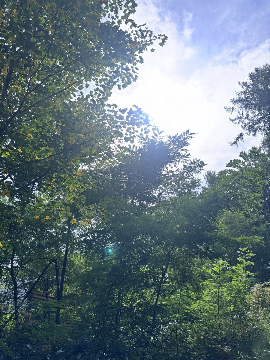 yukafujinoacc's tweet photo. きらきら富良野 https://t.co/LmMVrXYvMv