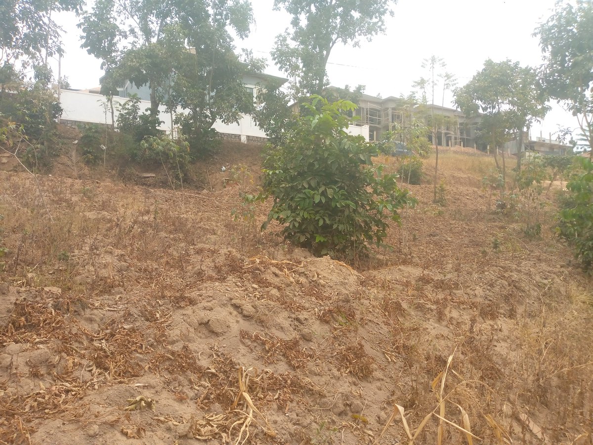 niyonzimaemi's tweet photo. 280 SQM PRIME PLOT FOR SALE – KIBAGABAGA
📍 Kibagabaga
📐 Size: 280 SQM
💰 Price: 120,000,000 RWF
Prime location — ideal for a residential or investment project.
#Kibagabaga #PrimeLand #PrimePlot #LandForSale #KigaliRealEstate #RwandaRealEstate #PropertyForSale #RealEstateRwanda https://t.co/j2tUCRzRRH