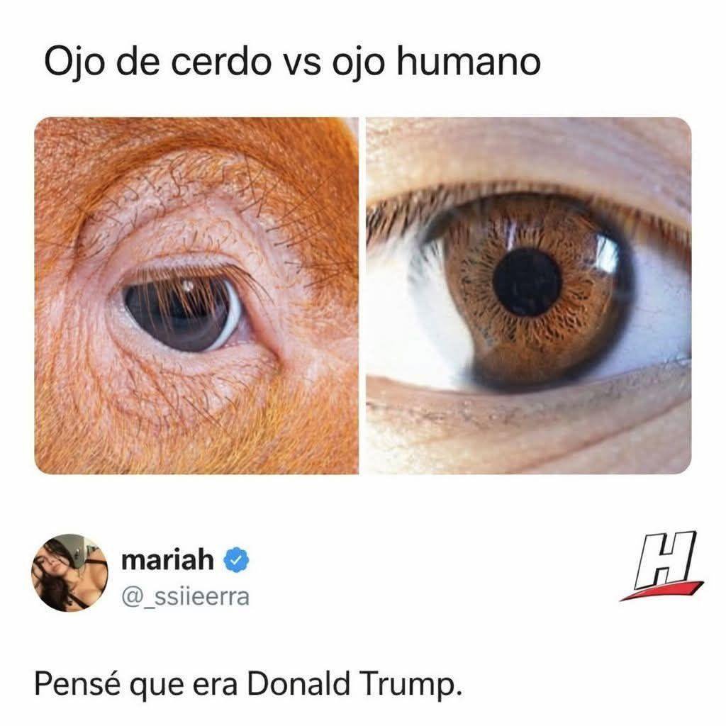 bjs_alejo2's tweet photo. https://t.co/GLbjxeq9ou