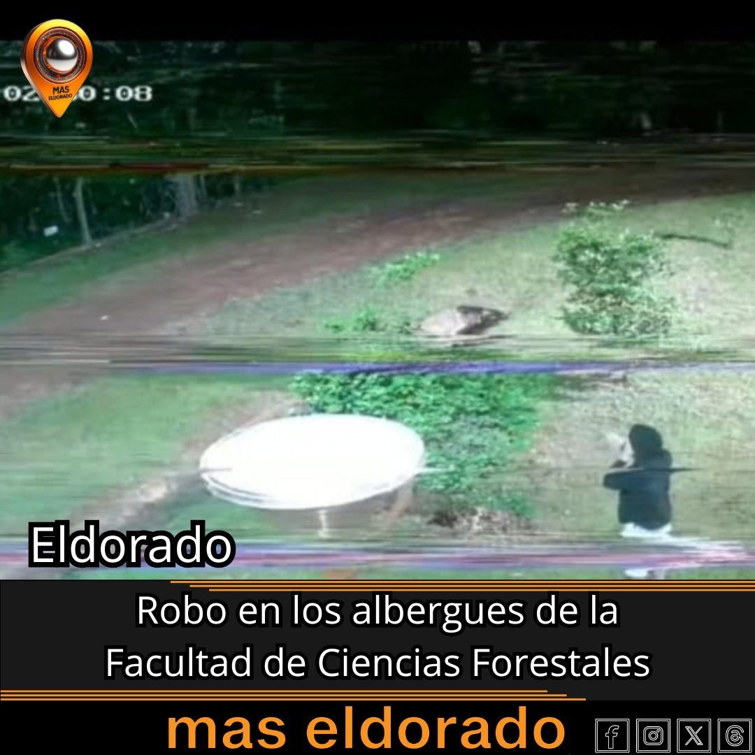 MasEldorado's tweet photo. Estudiantes universitarios sufrieron un hecho de inseguridad en sus residencias...

https://t.co/IFbxc9F2aL https://t.co/gOI6qmXVfC