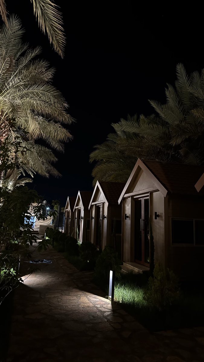 D7D6l's tweet photo. احب منظر النخل🌴🌴 https://t.co/kc0iC0ja6k
