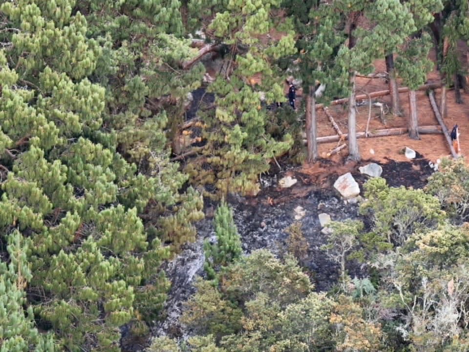 AsotoAdriana's tweet photo. A propósito del incendio forestal de ayer en la reserva forestal de Cerros Orientales que fue alertado por la ciudadanía y controlado oportuna y efectivamente por @BomberosBogota y teniendo en cuenta el daño ocasionado (1500 metros cuadrados) . Van 3 mensajes clave 👇

1) Prevenir los incendios forestales es una tarea de todos. Una sola chispa puede destruir en horas lo que tarda años en recuperarse y restaurarse. No hacer fogatas, no quemar basuras ni vegetación y no arrojar colillas encendidas. Si ven humo, fuego o a alguien iniciando una quema, aléjense del peligro y avisen de inmediato a la línea 123. Alertar a tiempo puede salvar vidas y proteger nuestros ecosistemas.

2) Quienes provoquen incendios forestales deben responder con todo el peso de la ley. Están destruyendo ecosistemas clave que protegen nuestra biodiversidad y nuestra agua, amenazando la vida y la salud de las personas y poniendo en riesgo recursos públicos invertidos en la atención del fuego y en la restauración de ecosistemas vitales para la biodiversidad y el agua.

3) Desde la alcaldía de @Bogota estamos activando los mecanismos de investigación del origen de estos incendios y aportando los informes técnicos necesarios . Necesitamos que esos esfuerzos se traduzcan en investigaciones oportunas y sanciones proporcionales al daño para quienes sean hallados responsables. Bogotá y el país no pueden seguir perdiendo hectáreas vitales mientras estos hechos quedan impunes.