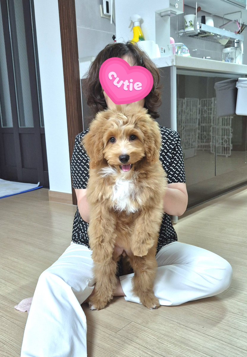 cumoku_c's tweet photo. 여름동안 제작&amp;식객챱츄땜에 바빠서 활동을 거의 못했는데 곧 다시 촤령다니기 전에 X친소합니다🫶
게임,애니, 최근에는 고전장르 조금씩 파고있고 컨촬도 갑니다😙
주로 남부권/중부권에서도 자주 활동해용
두번째사진은 드디어 꽤 자란 식객 챱츄😇
 
#코스어_𝕏친소 #코스어_𝕏트친소 https://t.co/cTnIqGS8Iz