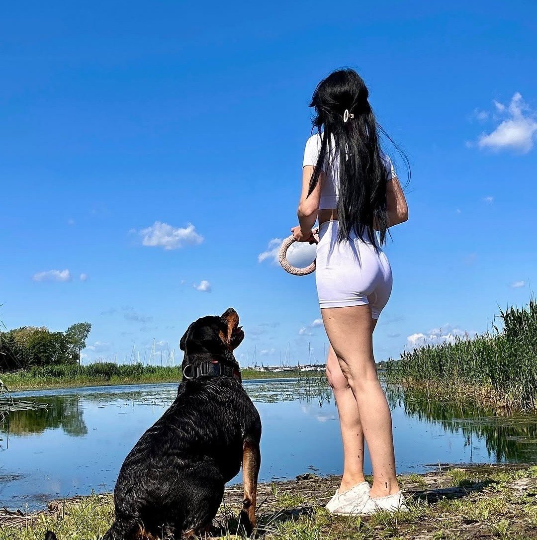 k9Nico_'s tweet photo. There’s nothing better than starting the day with a happy pup ready to make every moment special 🐕❤️ Come along and subscribe
https://t.co/YWlAji7mSi https://t.co/0ENX8K1LGr