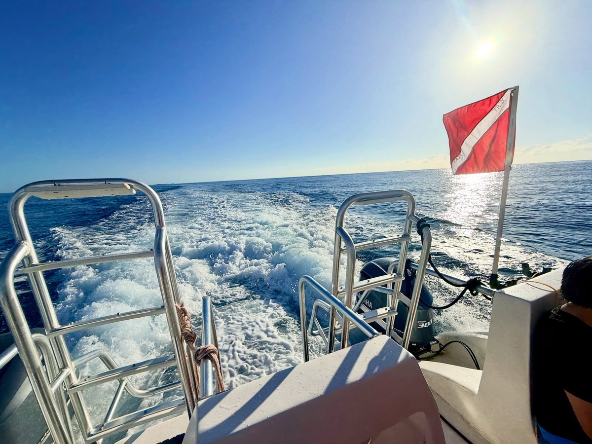 Mariakarolineps's tweet photo. Whatever floats your boat 🛥️⚓️🛟

📍Bimini, The Bahamas 🇧🇸🚢✌🏼🗺️🏝️

•
•
•
•
•
•
•
•
•
•
•
•
•
•
•
•
•
•
•
#nomadicbearventures #bahamas #beautifuldestinations #explore #travel https://t.co/7bU6m1GIxl