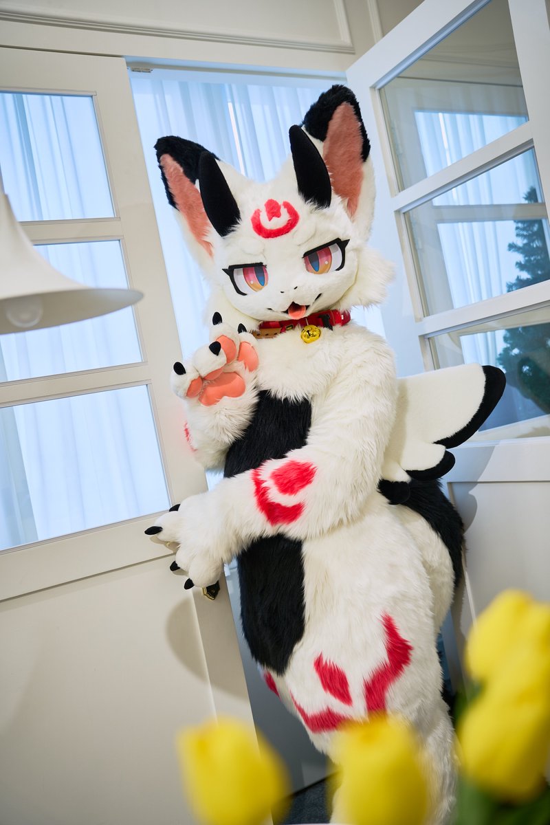 YN971106's tweet photo. 🤍🖤♥️

월요일도 힘내서 아자룡~☆

月曜日も頑張って~

♥️🖤🤍

#FursuitEverday
#YoonDragon https://t.co/XUYbqMq4CZ