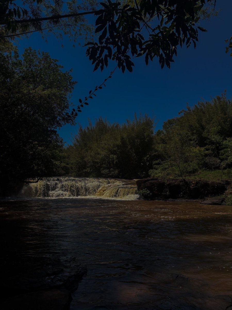 languember's tweet photo. https://t.co/EK84gD7BDI