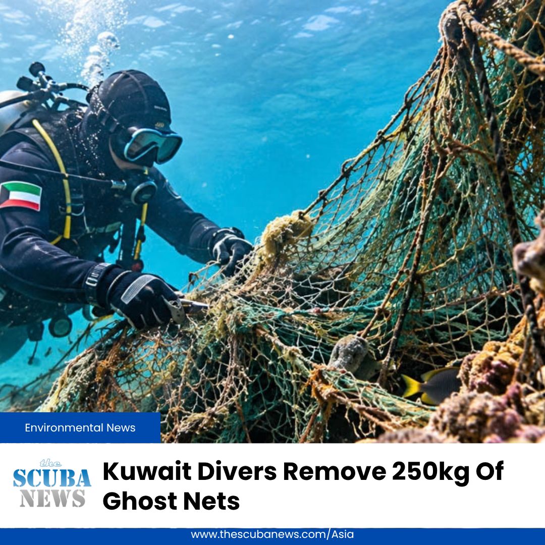 TheScubaNewsAS's tweet photo. Kuwait's volunteer Dive Team has recovered roughly 250kg of abandoned fishing nets from the Arifjan reefs, freeing trapped marine life and removing a hazard to coral, divers and vessels. 

🤿 👉  https://t.co/qzGyKpuTbH https://t.co/7YFS80deZD