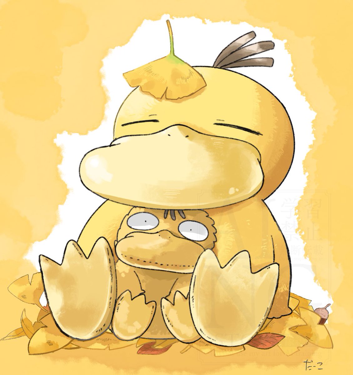 codacodacooda's tweet photo. コダちゃん🍁 https://t.co/7ZGNDGVIie