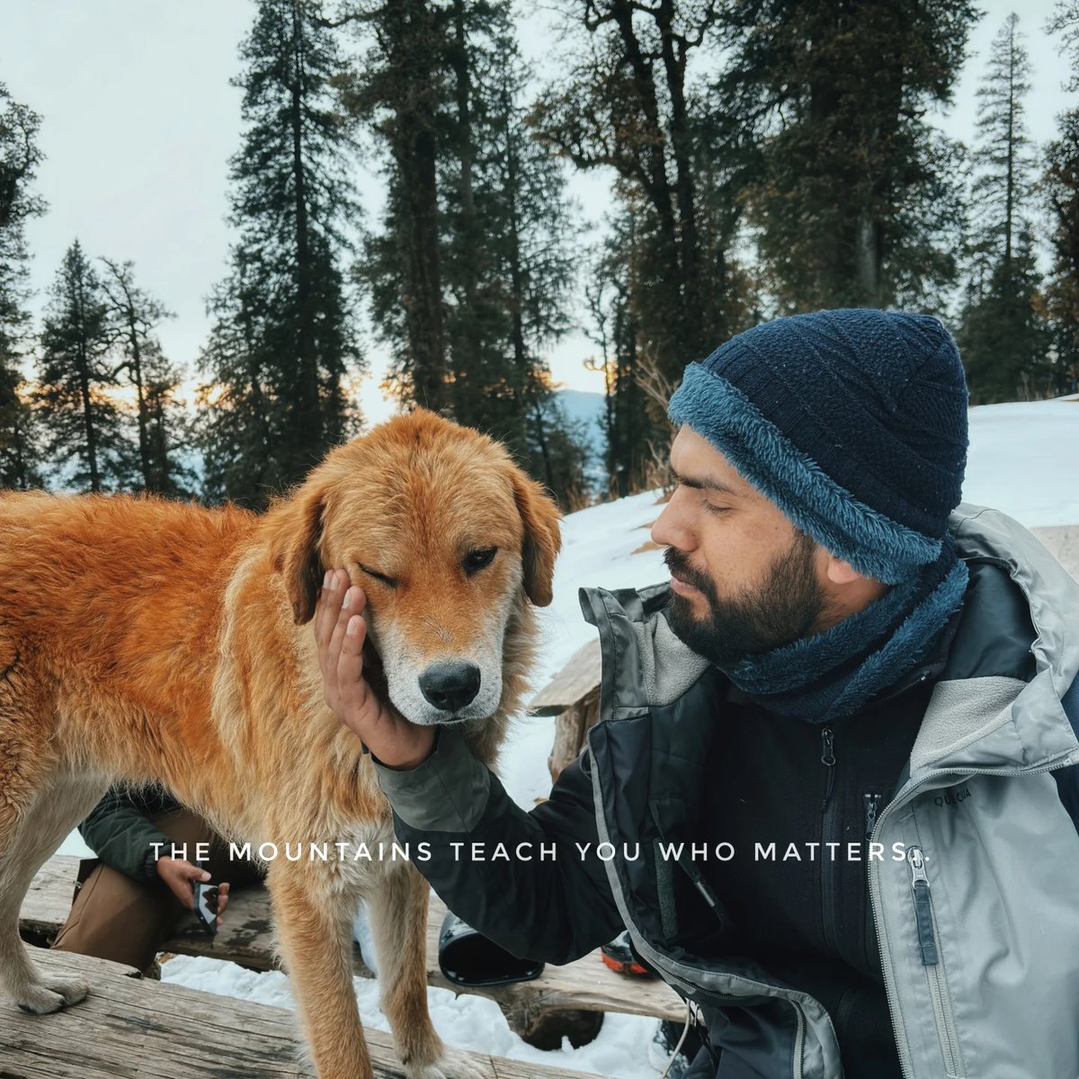 petersonbrasil's tweet photo. A little empathy is enough to make the world gentler......... #calm 
#mountains 
#empathy 
#doglover 
#snowfall
Shot By @withajkumar https://t.co/Y1kTEYt8yK
