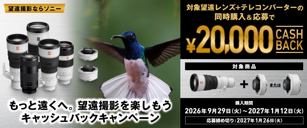 CallTencho's tweet photo. 9月29日(火)開始｢もっと遠くへ。望遠撮影を楽しもうキャッシュバックキャンペーン｣ https://t.co/robYTntnYe #店長のつぶやき日記 #ソニーショップ #コール徳島 https://t.co/sSpwDEAkvN