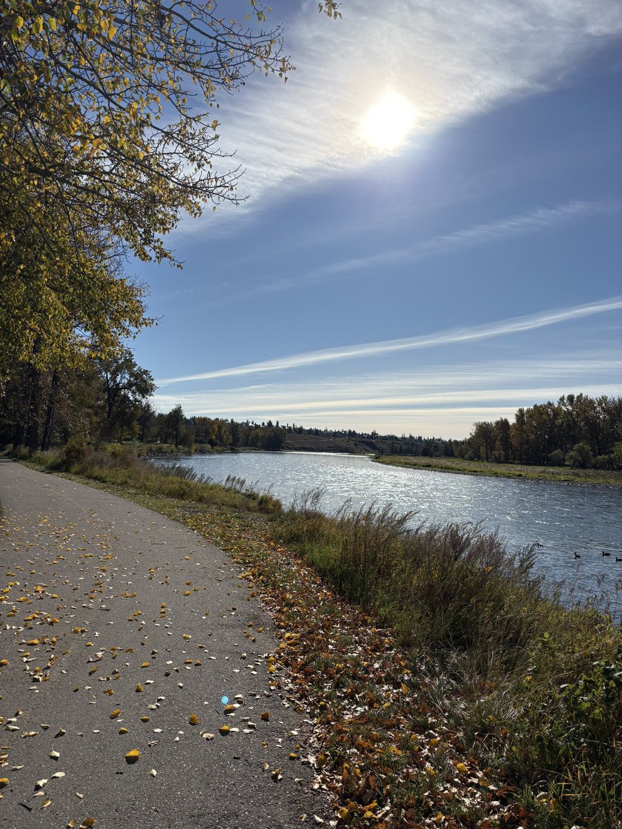 jambzecdn's tweet photo. Last week I walked 67+ km &amp; wondered if it was possible to avg 10/day &amp; hit an another PR, of 70 km? It’s my rest day, but did log 10, &amp;  71.29 km for the current Strava week!!! Optimal timing with days getting shorter &amp; weather cooling off. https://t.co/29HP5LmLcK