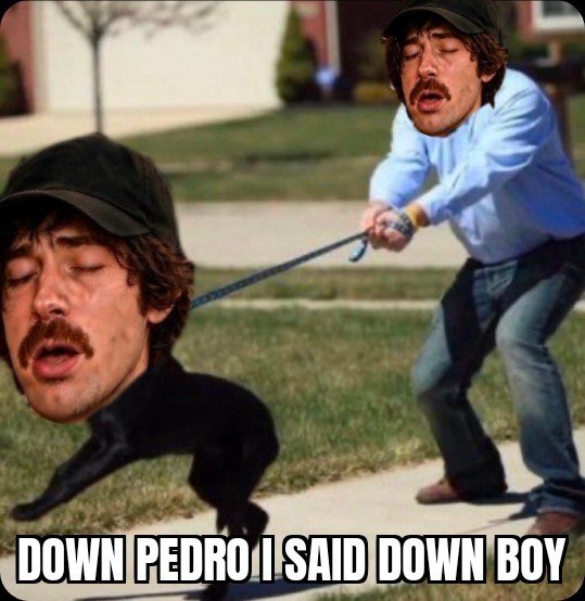 FuriousHomepepe's tweet photo. @NSAWP_SE https://t.co/pXdY8VfX0q