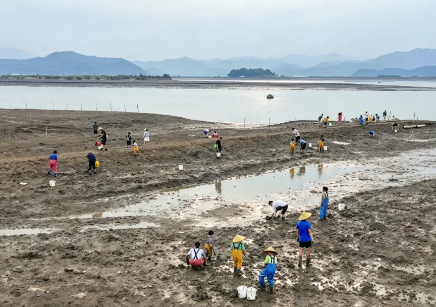 TravelNingbo's tweet photo. Dun’ao Village in Xiangshan County and the Xieqiangang coastal foraging camp are both great places to experience fishing and coastal foraging in autumn.
#Ningbo #EarlyAutumn #FishingFestival #Harvest #FishingVillageLife #CoastalForaging #AutumnInNingbo https://t.co/NAEyXw68Pa