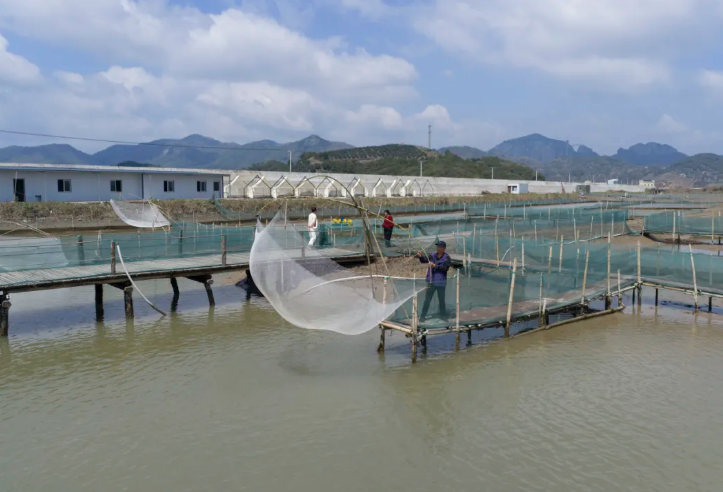 TravelNingbo's tweet photo. Dun’ao Village in Xiangshan County and the Xieqiangang coastal foraging camp are both great places to experience fishing and coastal foraging in autumn.
#Ningbo #EarlyAutumn #FishingFestival #Harvest #FishingVillageLife #CoastalForaging #AutumnInNingbo https://t.co/NAEyXw68Pa