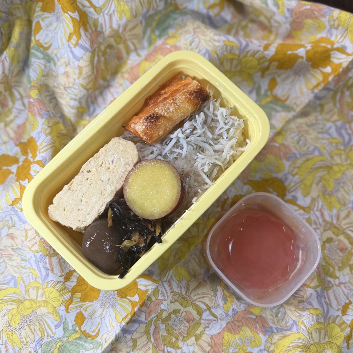 ogiwaka's tweet photo. おはようございます

今日の子どものお弁当

しらすごはん
卵焼き
玉こんにゃく
ひじきのネギ煮
鮭ハラス
さつまいものスダチ煮

いちごゼリー https://t.co/1d6995xzLF