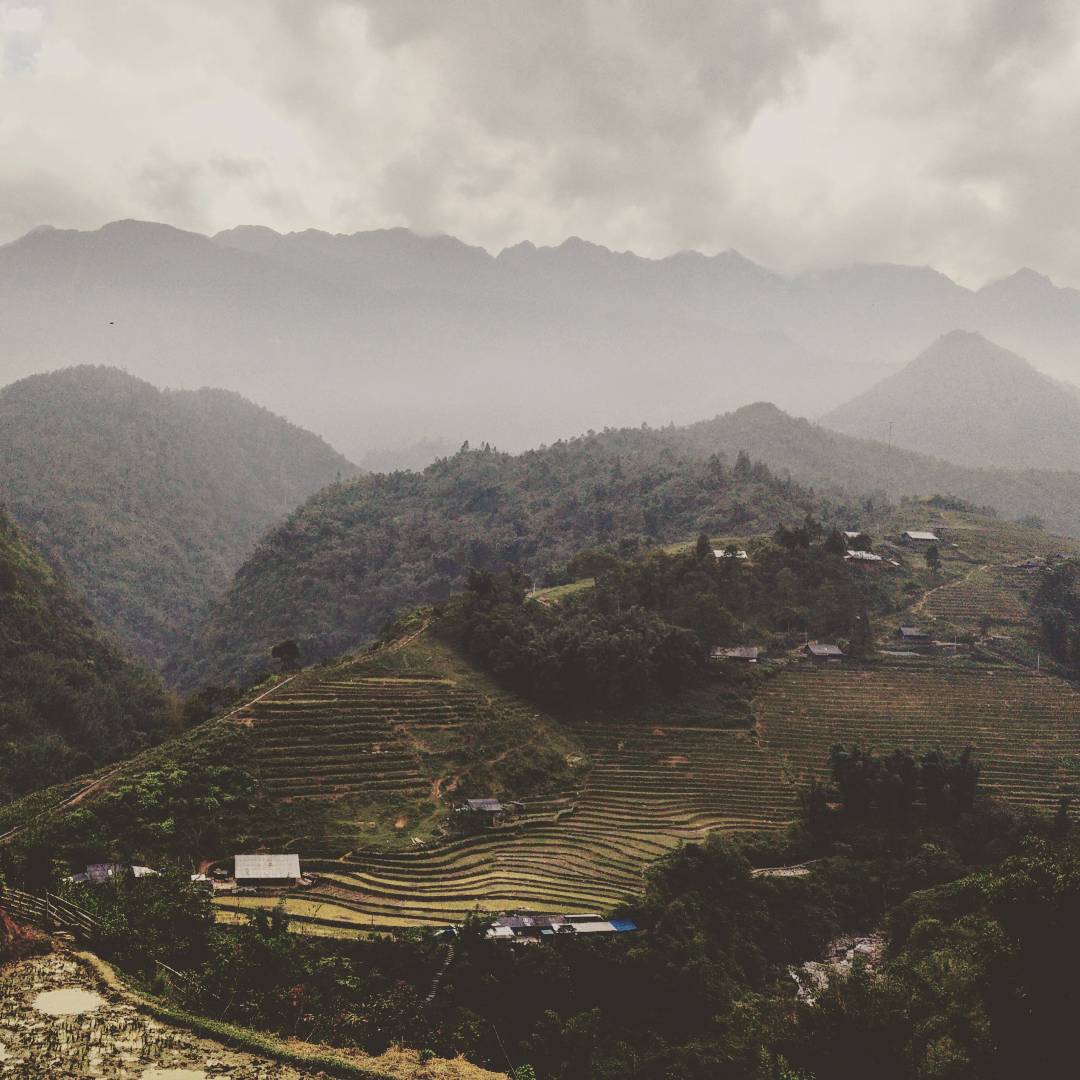 marcelocpz's tweet photo. #vietnam #travel #sapa #mountains #mist https://t.co/fpTL7NcBE1