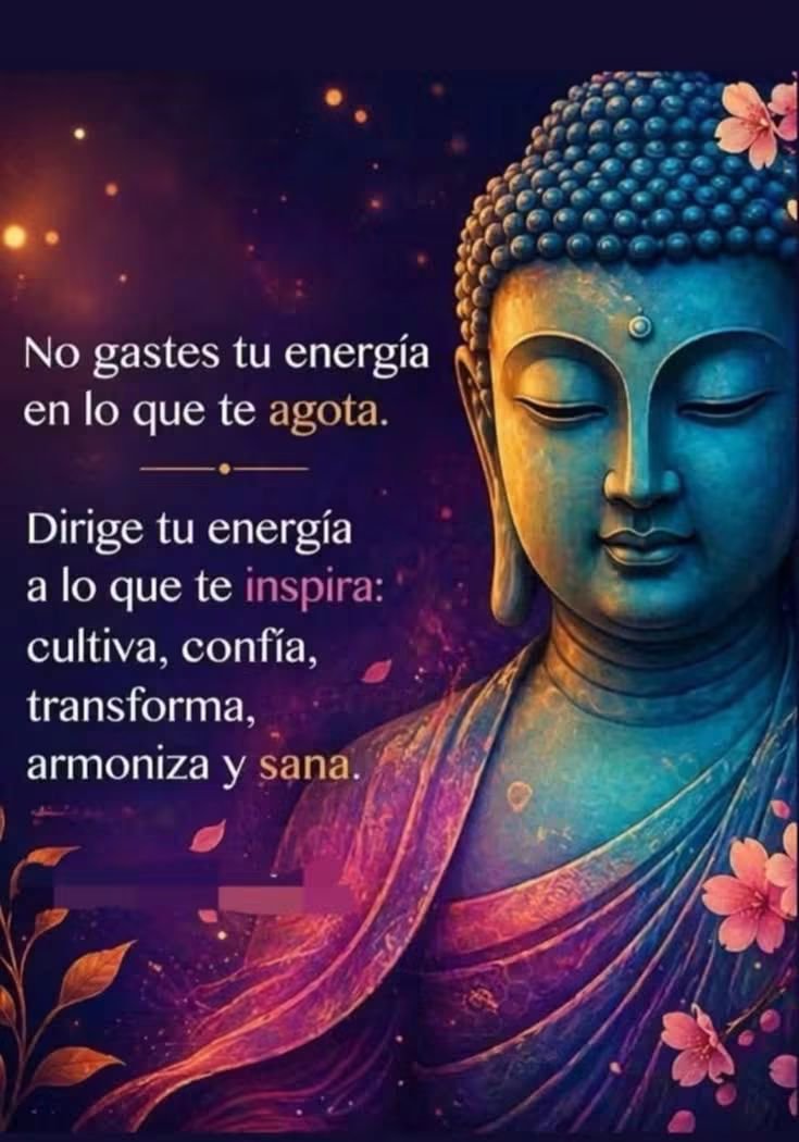 vibracosmos's tweet photo. https://t.co/X4vITBXEi4