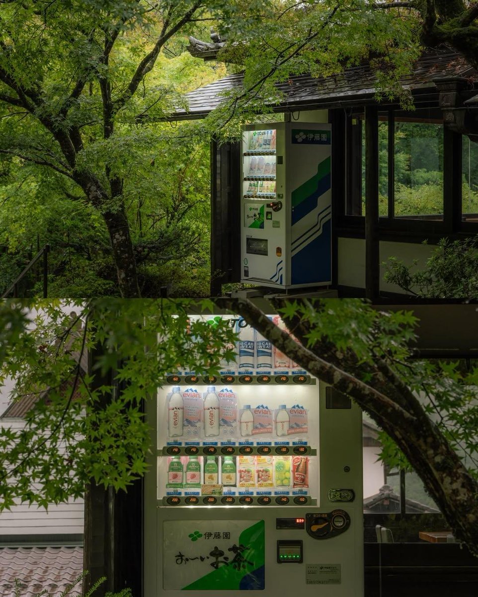 Alina_bloom79's tweet photo. Kyoto Japan.. https://t.co/LnqNrtmpxT