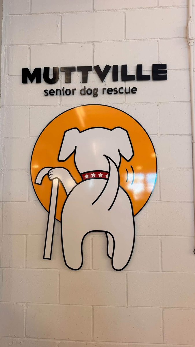 comma_channel's tweet photo. 老狗院，老有所養，三藩市的senior dogs rescue. 歡迎公眾探訪安慰。 https://t.co/eJuXGJSbxA