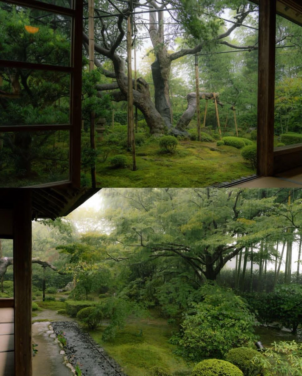 Alina_bloom79's tweet photo. Kyoto Japan.. https://t.co/LnqNrtmpxT