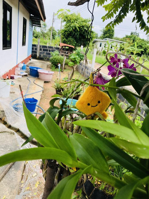 ken40522209's tweet photo. สวัสดียามบ่าย กับบรรยากาศ ตจว คับบบ  #Binance TH https://t.co/eO6YSHyIs5