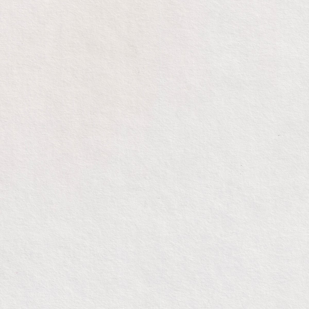 BandicootDesign's tweet photo. some more free 4k paper / grain textures https://t.co/LJb1enK9BG