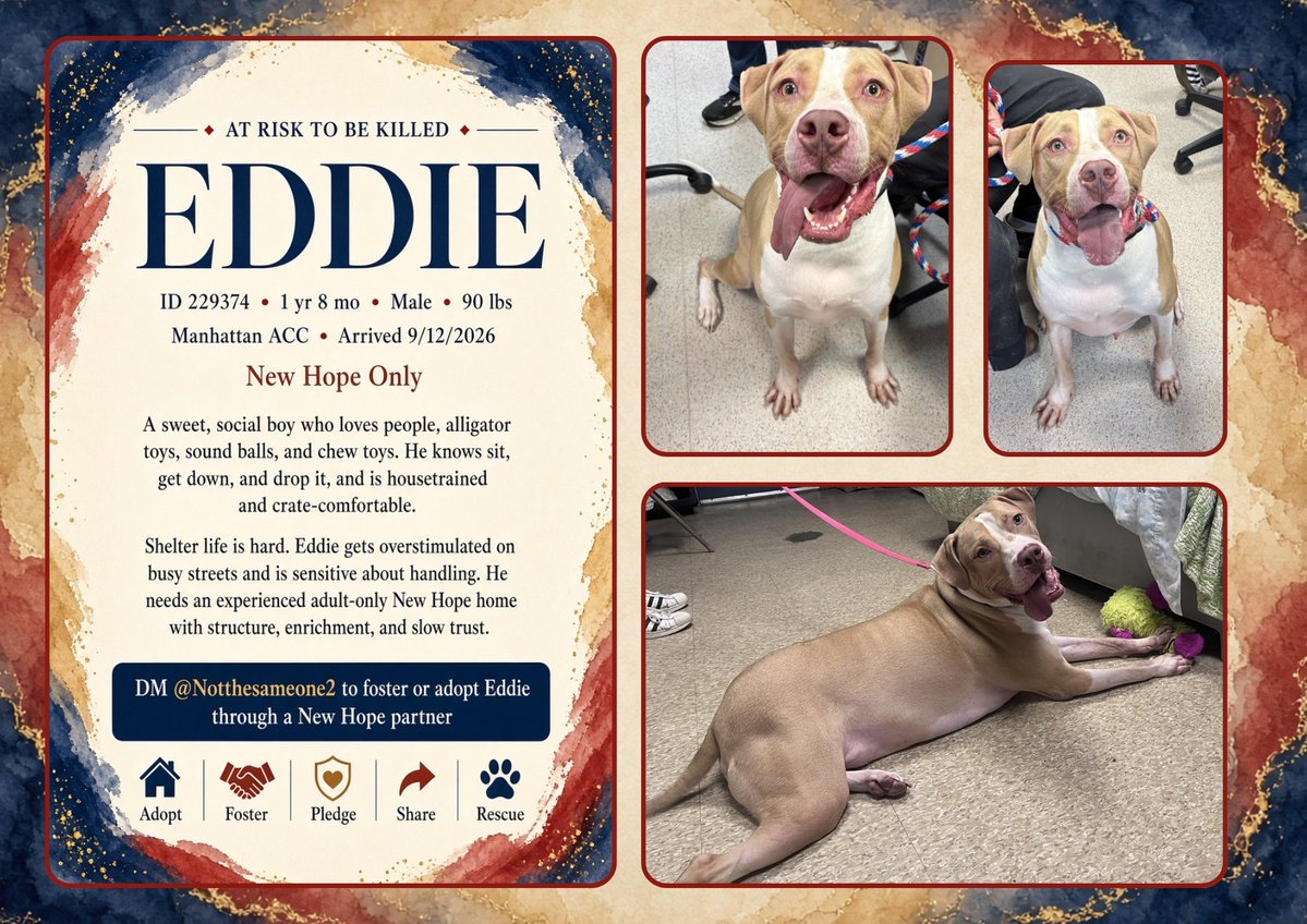 notthesameone2's tweet photo. Eddie's resume: https://t.co/TgK0tTDKMJ