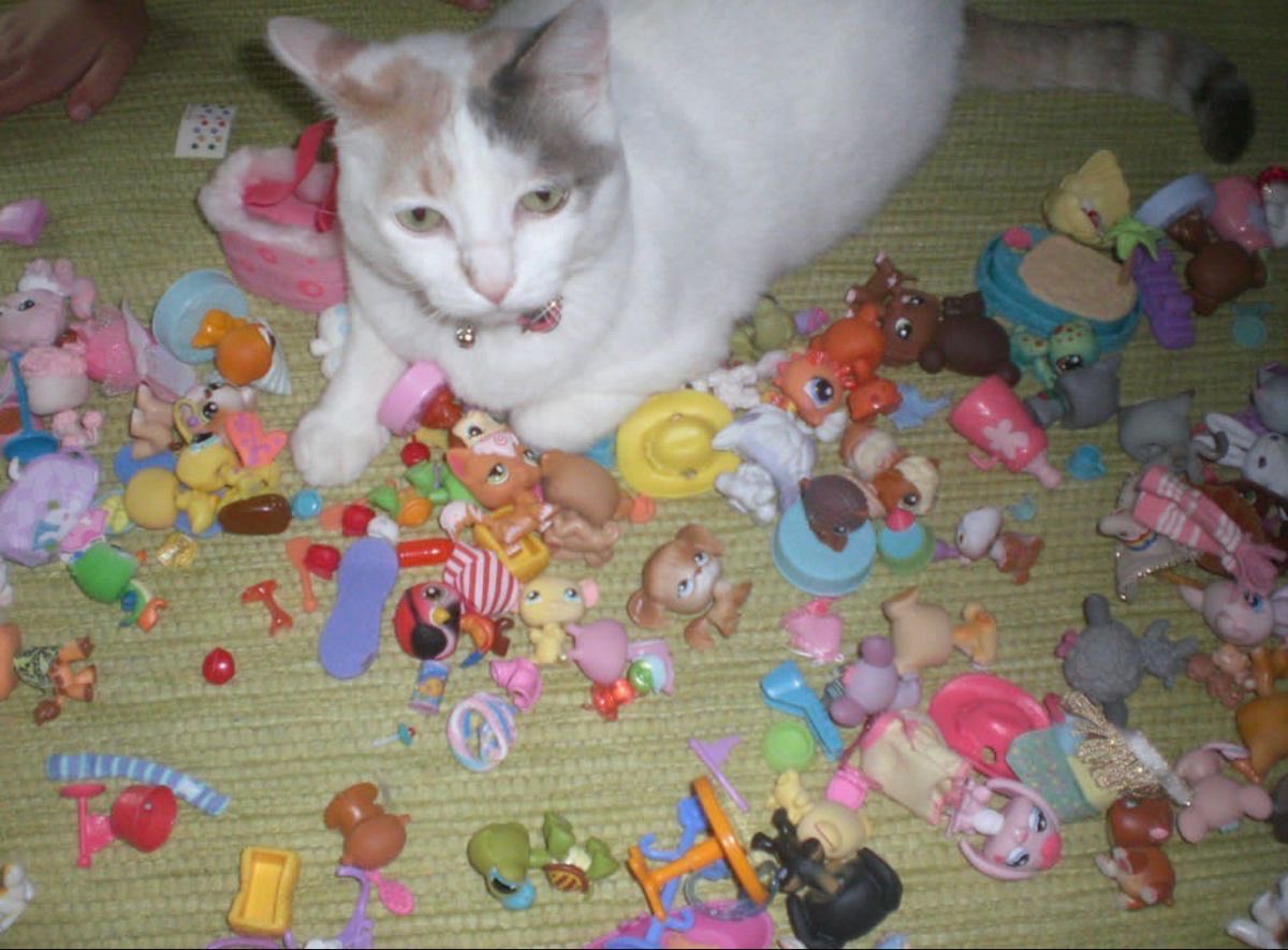 trinkyswinky's tweet photo. shoutout to my fav genre of photo https://t.co/gHD8Dhyhsv