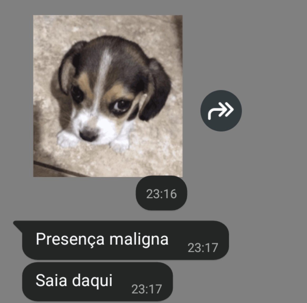 BenjiBahng's tweet photo. "Meu namorado sempre fica hapoy feliz quando mando mensagem" o mesmo: https://t.co/0TzxK3LcZF